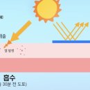 블루밍뷰티 네이버블로그