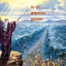 홍해바다