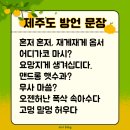 혼저옵서멍 이미지