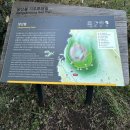 제주기독교순례길 3코스 사명의 길 | 당산봉 지오트레일를 걷다