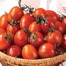 토마토 - 부평구 주부토로22번길 10-1 | 토마토