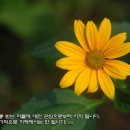 토요일 이미지