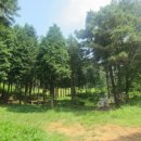 나무쉼터 이미지