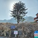 브와베르(BOIS VERT) | [춘천 카페] 전망 좋은 예쁜 카페 브와베르 BOIS VERT