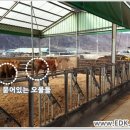 병은우사 이미지