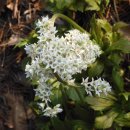 산진농장 이미지