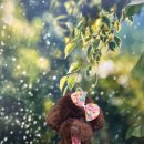 샤방하개 이미지