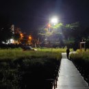 하천(대전천1) 이미지