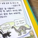 스컹크 Daum카페
