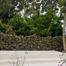 예가애견 이미지