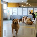 엄마유치원 이미지