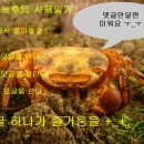 왕암농장 이미지