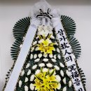 연세에스병원 이미지