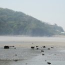 슬로우스테이 이미지