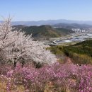 해솔초 앞 삼거리 남측 | 대구 와룡산 주차장 진달래 참꽃 벚꽃 군락지 찾아가는 방법