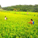 월봉농장 이미지