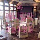 애니필라필라테스스튜디오