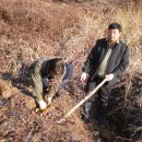 천마농장 이미지