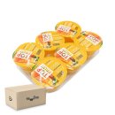 푸딩이네 이미지