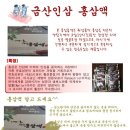 홍삼아씨