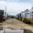 전남축산 이미지