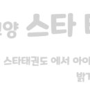 고양스타태권도장