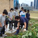 어진중학교 이미지