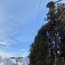 중산간서로 이미지