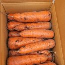 우주농장 이미지