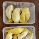 중부농장 이미지