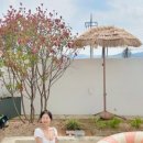 레이즈(Laze) 이미지