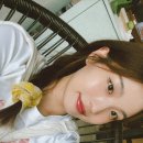 밍그루밍 이미지