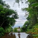 세븐일레븐 제천제일점 | [4일차] 치앙마이 - 판비만 리조트 가는 길에 들린 택시투어(엘리핀팜, 사이프레스레인, 왓파랏사원)