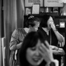 씨 없는 수박 김대중 카카오 검색결과