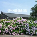 성이시돌젊음의집 이미지
