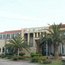 꿈에본꽃돼지 이미지