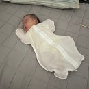 담이네 | [또담이 임신일기] 신생아 육아 시작 / 산후도우미 서비스 진주 ‘참사랑어머니회’ 솔직 이용 후기