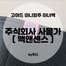 고야드미니앙주이너백 [ 백앤센스, 주식회사사몰가 ]