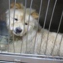 디아크동물종합병원 이미지