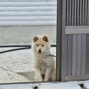 (주)체크인투어 이미지
