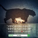 JMT 정무태권도장 이미지