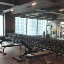 경기도 수원시 팔달구 수원천로210번길 37 (인계동) | 인계동 헬스장의 숨은 보석, 모조피트니스 수원인계점을 소개합니다!