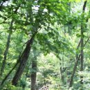 참좋은청국장순두부 이미지