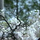 무안북중학교 이미지