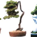 생각하는 정원 이미지