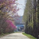 범서생활체육공원 2 이미지