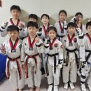 강철 태권도 이미지