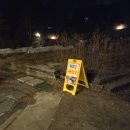 꽃쌈샤브샤브 | 수서역 근처 가족모임 최적화! 주차 걱정 없는 통오리구이 전문점, 애란궁 내돈내산 솔직 방문 후기