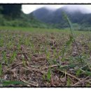 알콩달콩 흑염소 농장 이미지