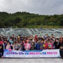 이순신순국공원 이미지